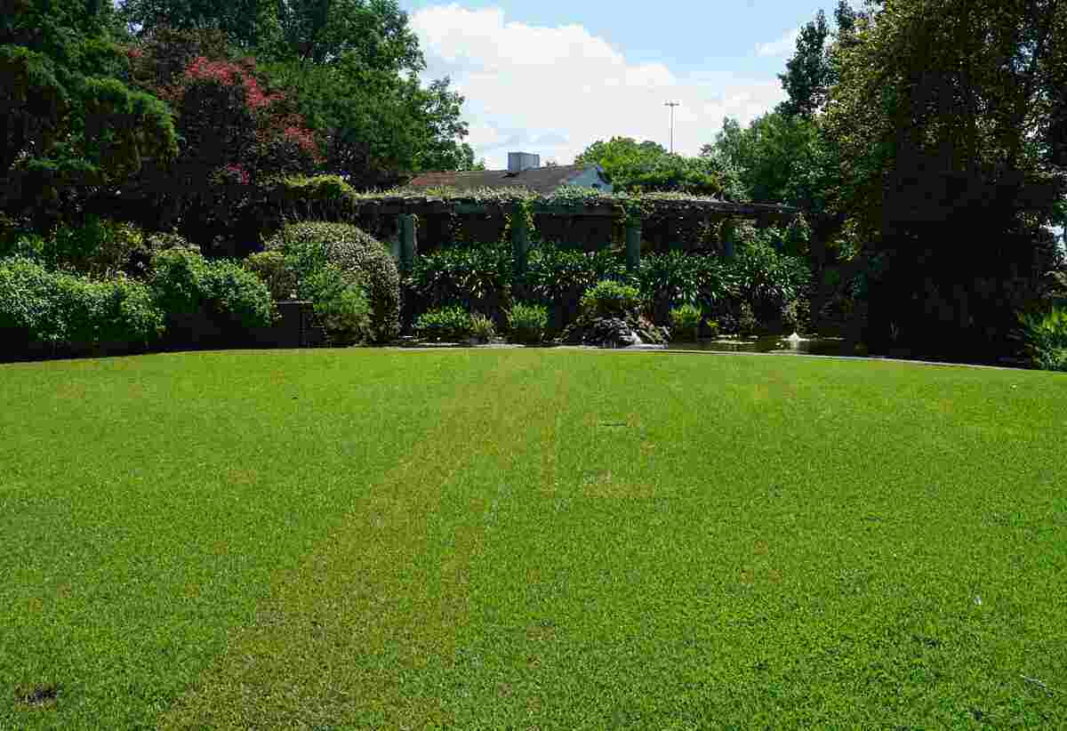 circular lawn in texas discovery gardens