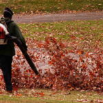 Leaf Blowers Buyers Guide: Types, Factors to Consider, Popular Brands