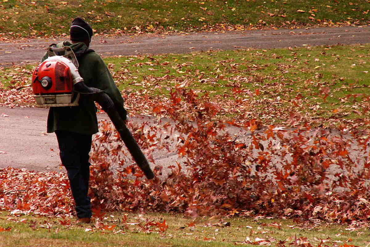 a person blowing leaves with a leaf blower on back