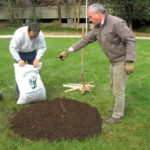 Mulch Calculator: How Much Mulch Do You Need?