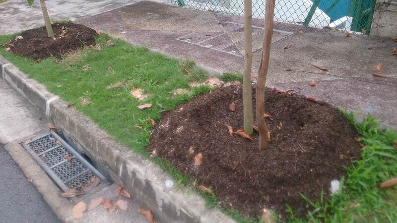 a picture of mulch around a tree