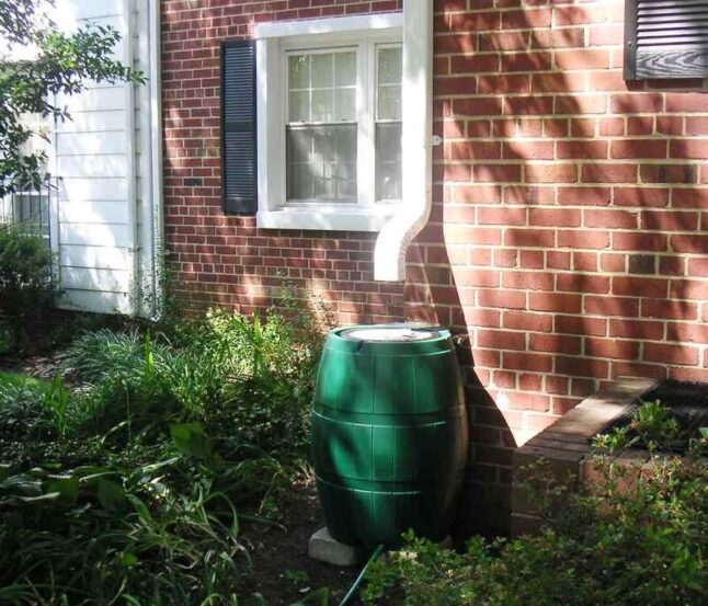 image of a rain barrel below a gutter