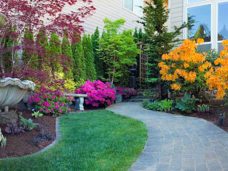 A pathway created in a front yard of a house