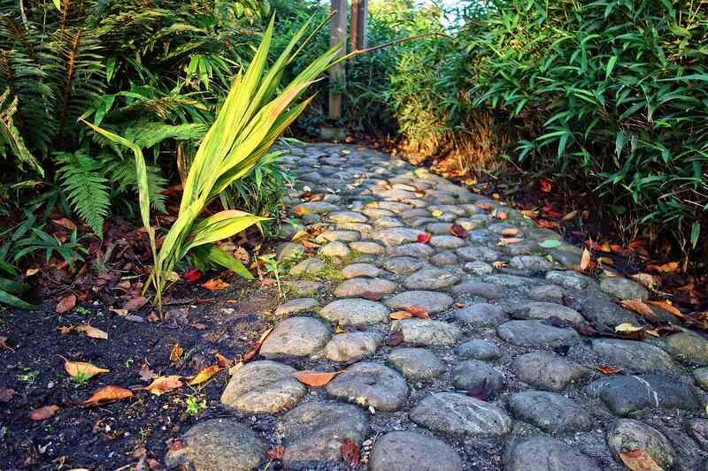 A picture showing cobblestone walkway 