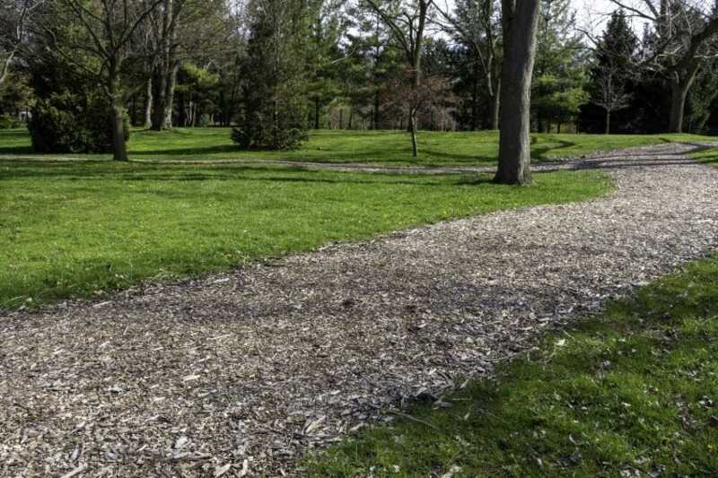 A wood chip mulched path in a park