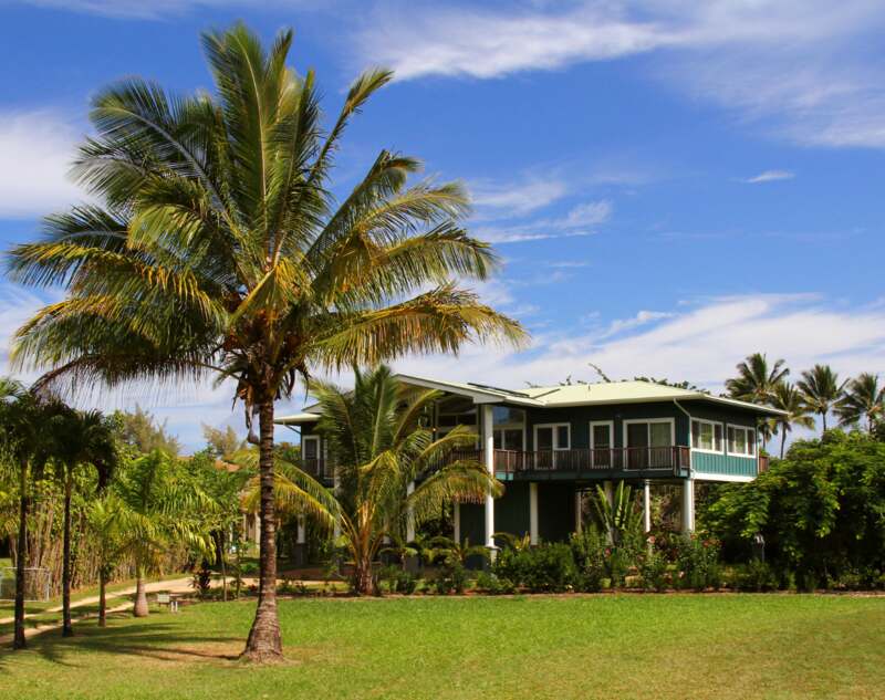 A house with palm trees installed