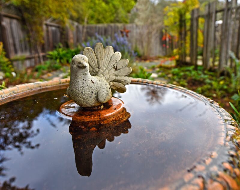 A bird fountain installed in a backyard of a house