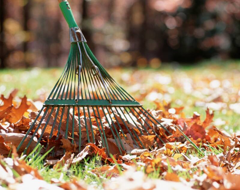 A tool that is used in raking leaves