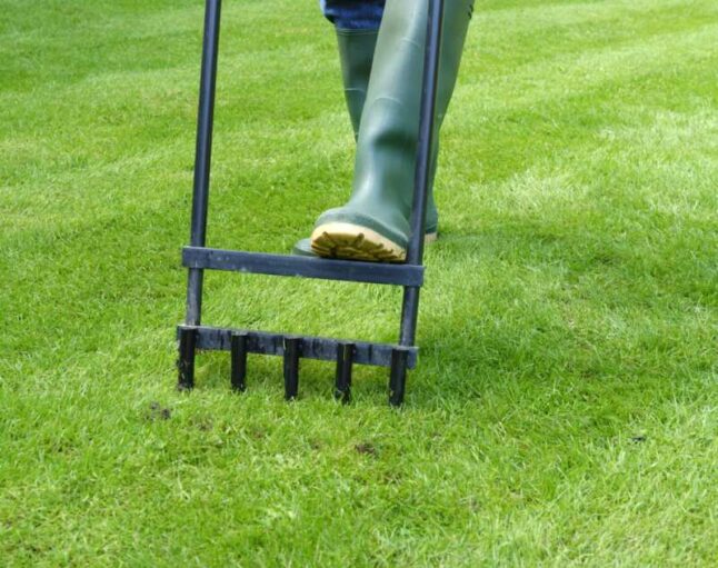 A person aerating his lawn