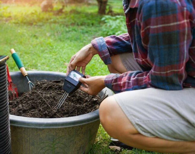 A person checking pH of soil of his lawn