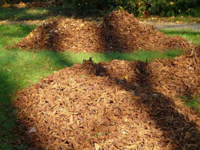 Brown mulch ready to be installed in lawn