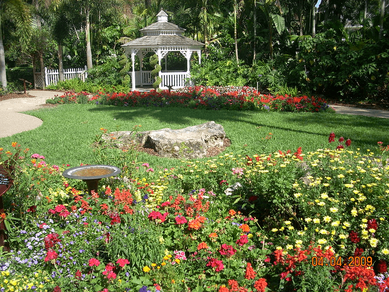 A colorful butterfly garden filled with flowers and a birdbath in Tampa