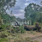 11 Hurricane-Resistant Landscaping Ideas for Ocala, FL