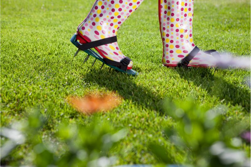 image of a woman wearing spiked lawn aerating shoes