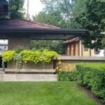 9 Summer Lawn Care Tips for Grand Rapids