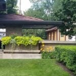 9 Summer Lawn Care Tips for Grand Rapids, MI