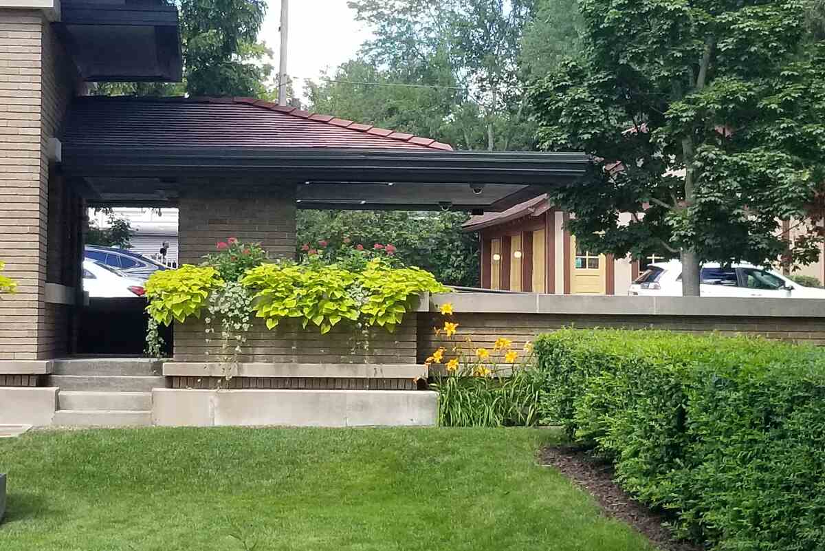 image of lawn with bushes in front of a house