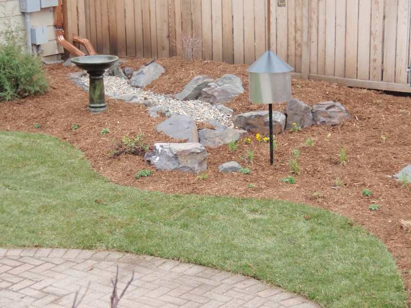 image of a rain garden in front of a house