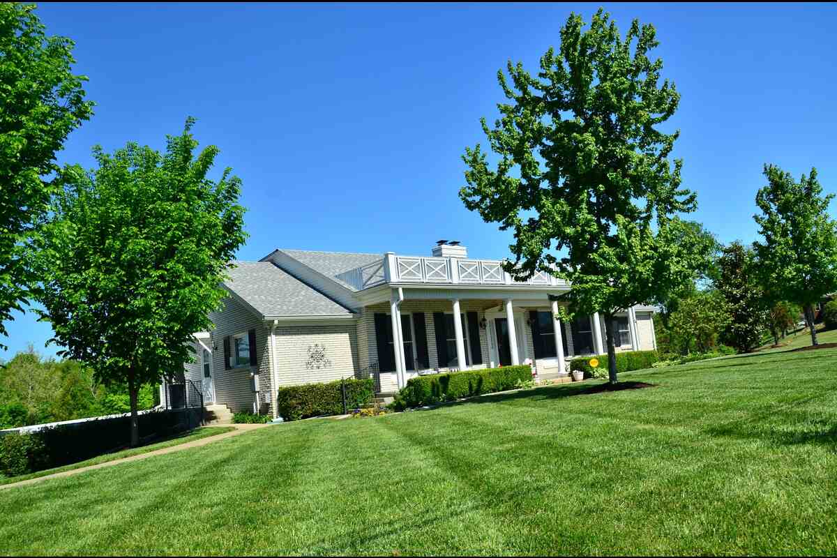 Lawn infront of house with big trees