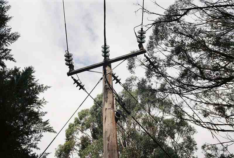 image of trees with electric poles and wires