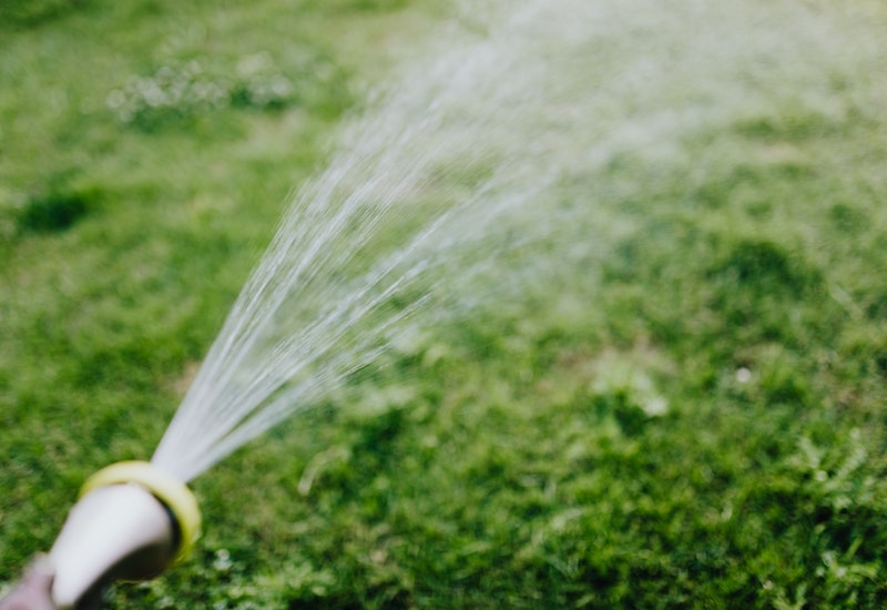 a water hose spraying water in a green lawn