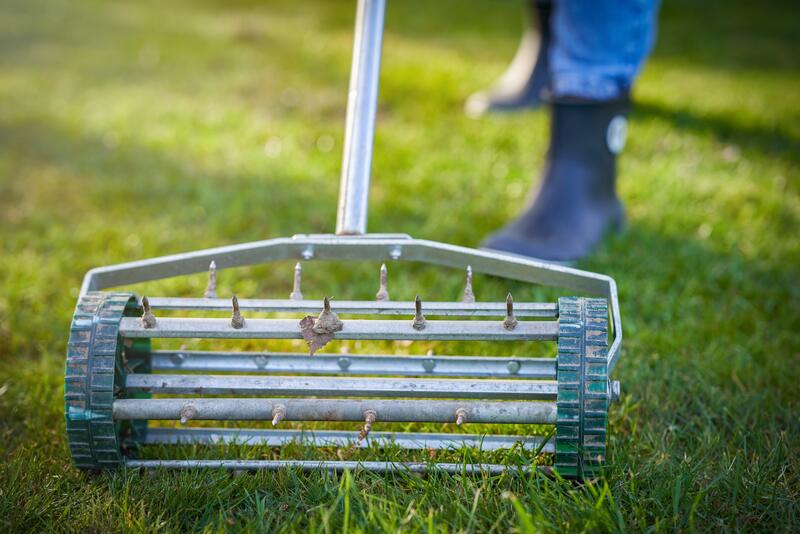 person aerating a lawn with a spike aerator