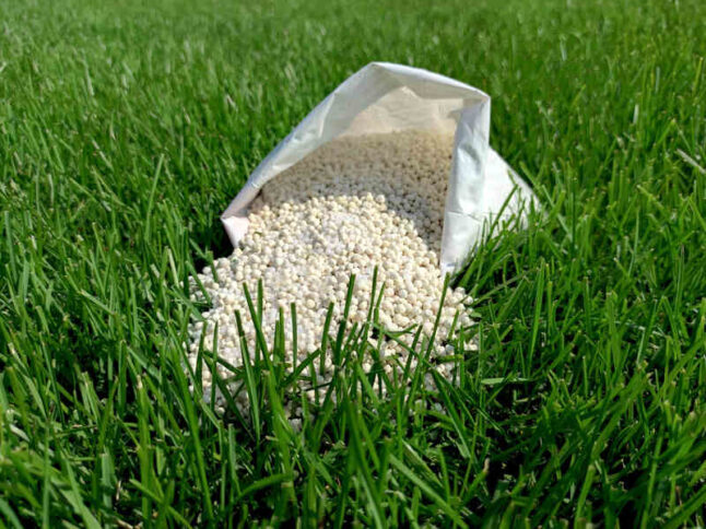 Fertilizer for grass, lawn, meadow in a bag of white granules on a background of green grass