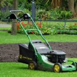 Summer Lawn Care Tips for Jacksonville, FL