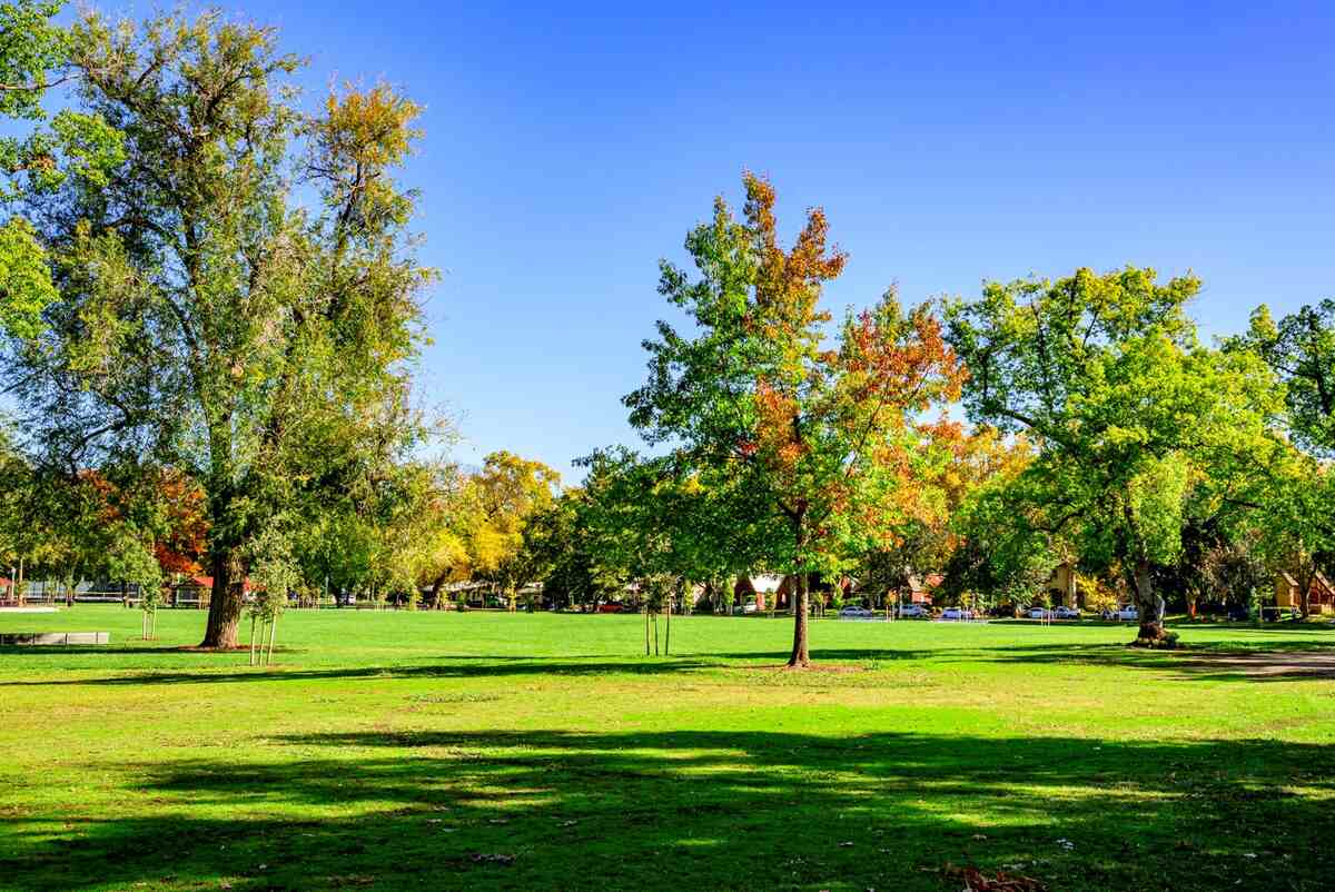 Sacramento - McKinley Park image in spring