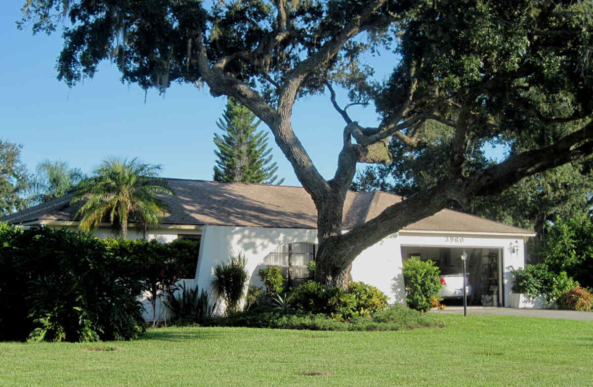 image of a lawn in sarasota