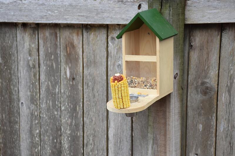 A bird feeder installed