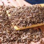 When is the Best Time to Plant Grass Seed?