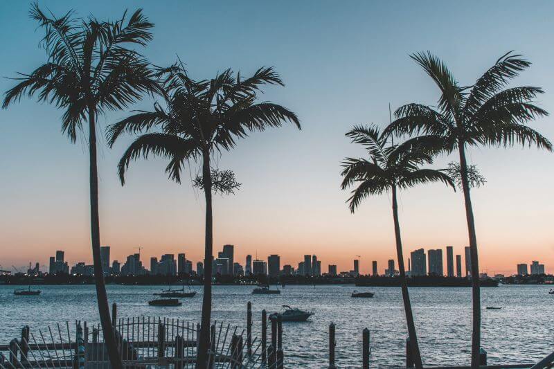 An evening shot of the Miami Beach, Florida, skyline in the background and tall palm trees and boats in the foreground
