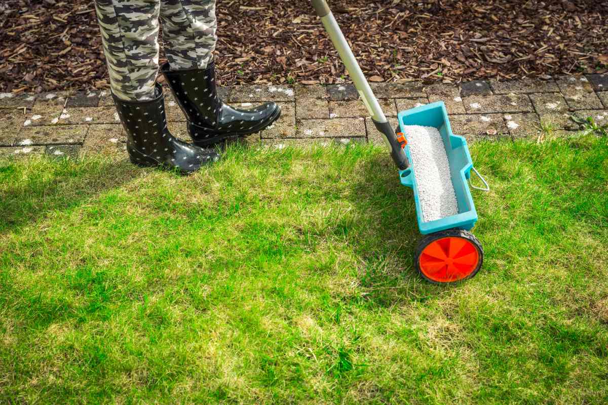 Fertilizer Spreader on Green Lawn