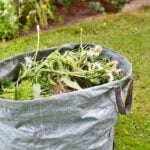 Complete Guide to Weed Control in Arkansas