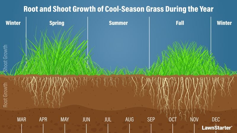 A picture showing growth of cool season grass round the year