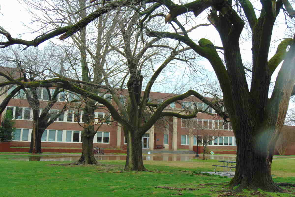 a lawn of a university in Tennesse