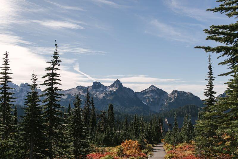 A shot of a trail flanked by evergreens overlooking tall peaks at Mount Rainier National Park in Washington state