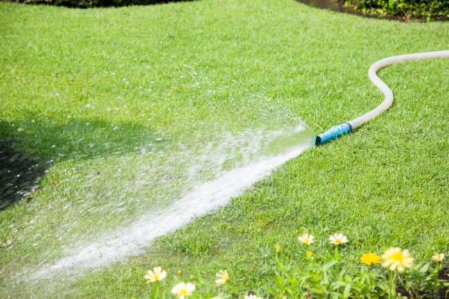 Water Hose on Lawn