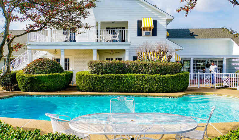 image of hedges around a pool