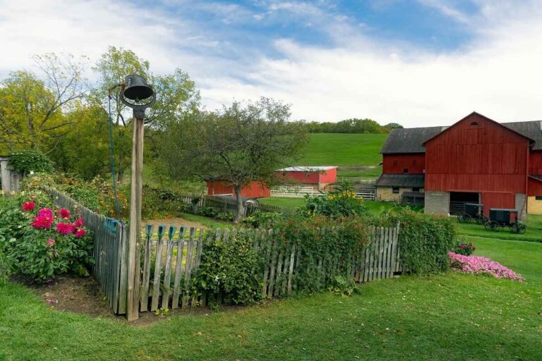 A lawn of a house in a village