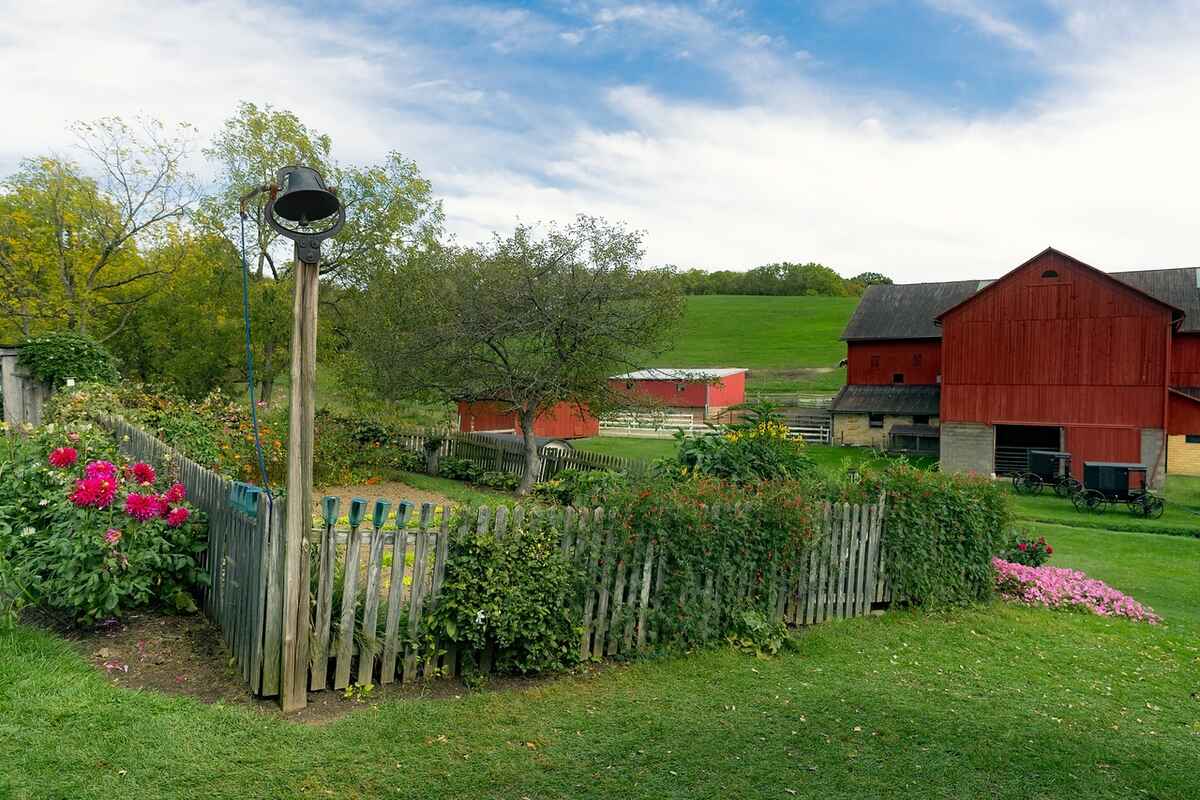 A lawn of a house in a village