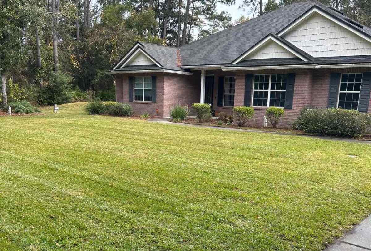 Well-maintained front lawn of a house in Jacksonville, Florida