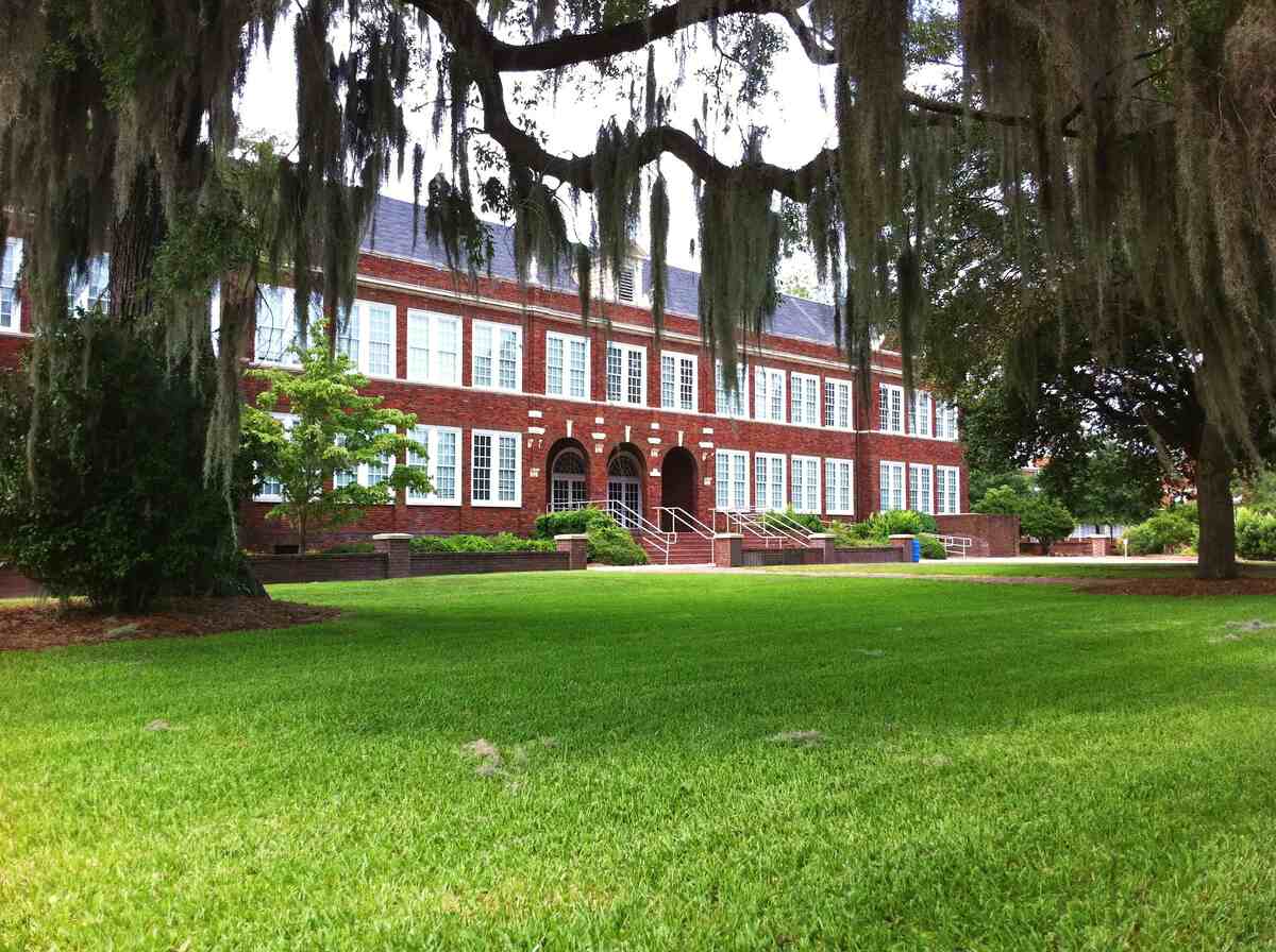 image of a lawn in georgia