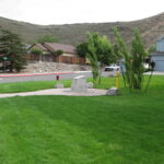 Best Grass Seed for Nevada
