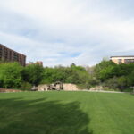 4 Best Grass Types for Salt Lake City Lawns