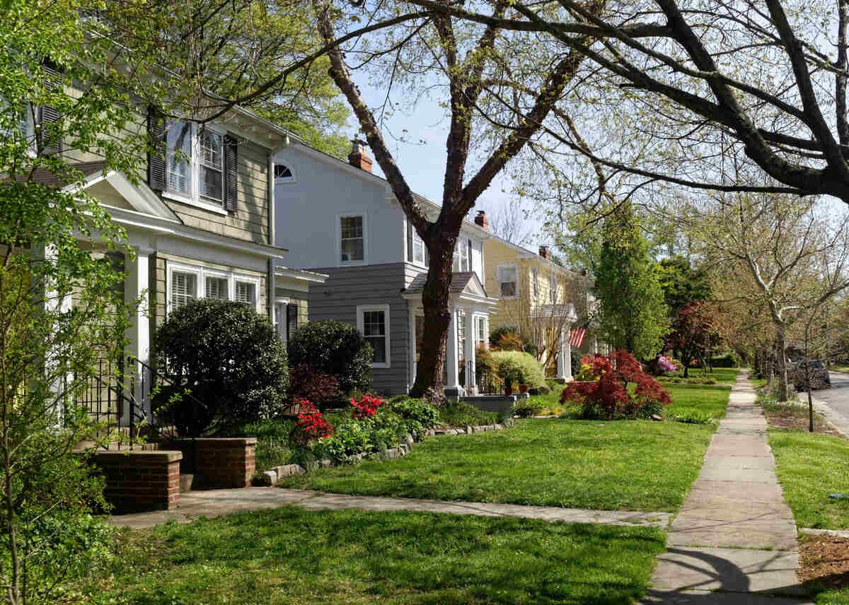 image of a lawn in virginia