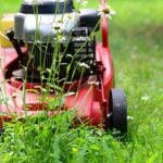 Can I Mow and Fertilize on the Same Day?