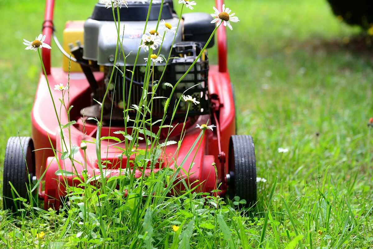 A lawn mower in lush green grass