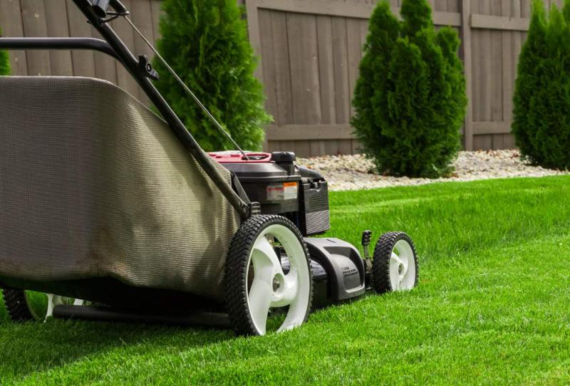 Lawn mower cutting neatly trimmed green grass beside a landscaped garden with rocks, shrubs, and wooden fence in a well-maintained backyard.